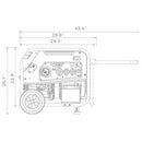 Firman T08071 Portable Tri-Fuel Generator, 8000W Electric Start 120/240V-6