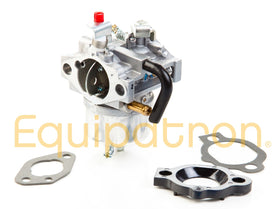 Briggs & Stratton 492256 Carburetor