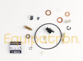 Briggs & Stratton 842890 Carburetor Overhaul Kit, Replaces 808324, 842887