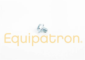 Briggs & Stratton 699228 Screw