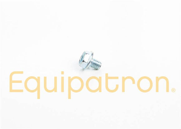 Briggs & Stratton 699228 Screw