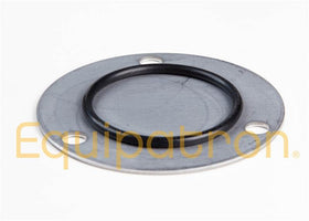 Briggs & Stratton 499613 Oil Pump Cover