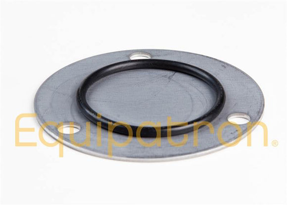 Briggs & Stratton 499613 Oil Pump Cover