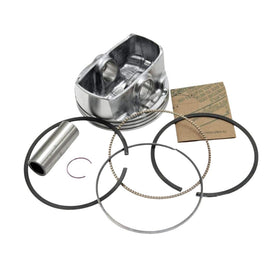 Briggs & Stratton 795858 Piston Assembly