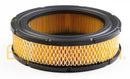 Briggs & Stratton 841856 Air Cleaner Cartridge Filter-1