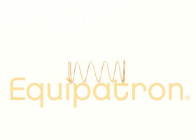 Briggs & Stratton 691839 Choke Diaphragm Spring, Replaces 262764, 691839