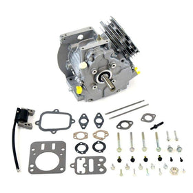 Briggs & Stratton 699582 Snowblower Short Block