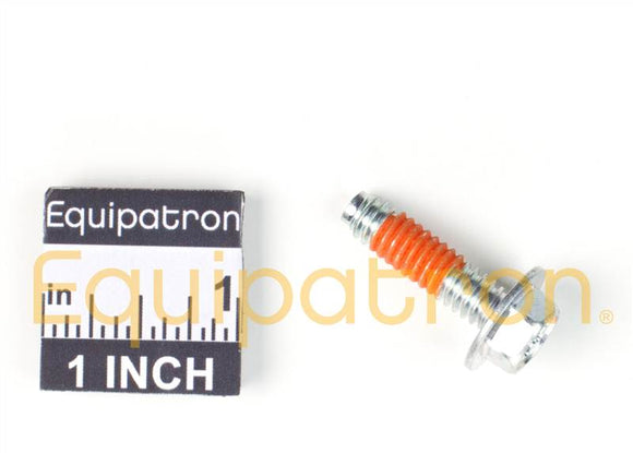 Briggs & Stratton 699816 Screw, Replaces 695240