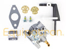 Briggs & Stratton 798653 Carburetor, Replaces 697354, 790290, 791077, 698860-3