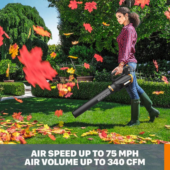 Worx WG929 Cordless 20V Leaf Blower & 12" String Trimmer Kit
