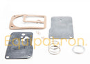 Briggs & Stratton 393397 Fuel Pump Kit-2