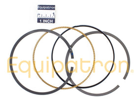 Briggs & Stratton 792306 Ring Set - 0