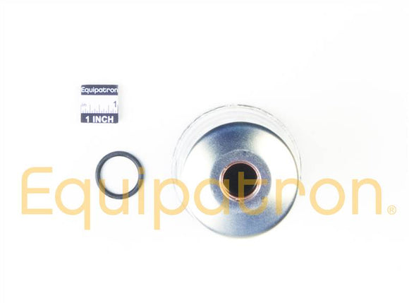 Briggs & Stratton 820311 Fuel Filter