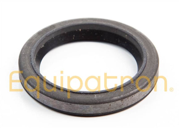 Briggs & Stratton 294606S Oil Seal