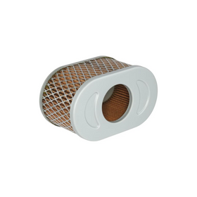 Briggs & Stratton 84010837 Filter, A/C Cartridge