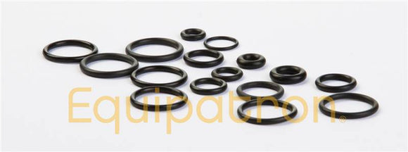 Briggs & Stratton 200346GS O-Ring Kit