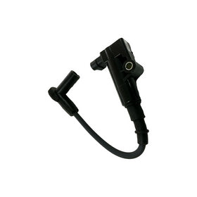 Kohler 25-519-02-S Coil Ignition, EFI