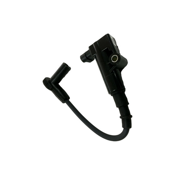 Kohler 25-519-02-S Coil Ignition, EFI