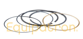 Briggs & Stratton 792073 .020 Ring Set