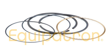 Briggs & Stratton 792073 .020 Ring Set