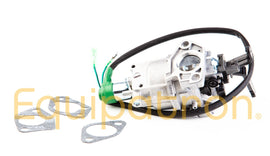Briggs & Stratton 799773 Carburetor - 0