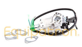 Briggs & Stratton 799773 Carburetor - 0