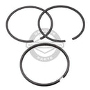 Briggs & Stratton 690014 Standard Piston Ring Set-2