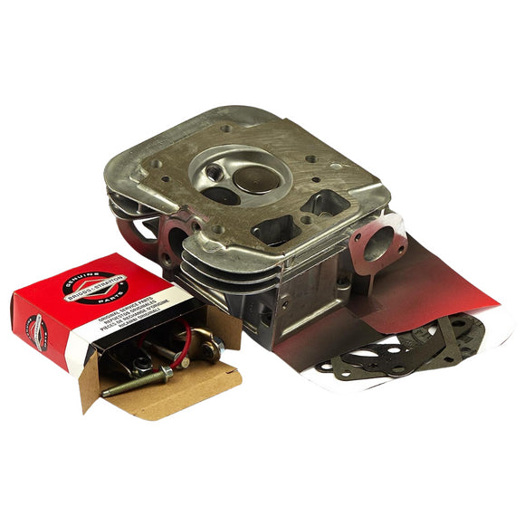 Briggs & Stratton 84001919 Cylinder Head #2