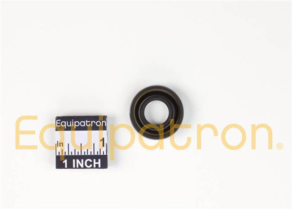 Briggs & Stratton 691952 Oil Seal, Replaces 391484, 298041, 691952