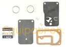 Briggs & Stratton 393397 Fuel Pump Kit-3