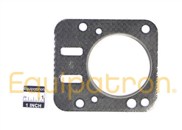 Briggs & Stratton 798461 Cylinder Head Gasket - 0