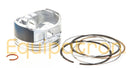 Briggs & Stratton 793560 Piston Assembly-1