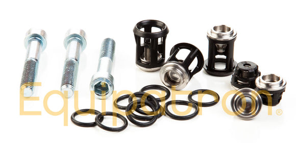 Briggs & Stratton 190657GS Check Valve Kit, Replaces 190657