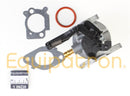 Briggs & Stratton 591137 Carburetor, Replaces 590948-3