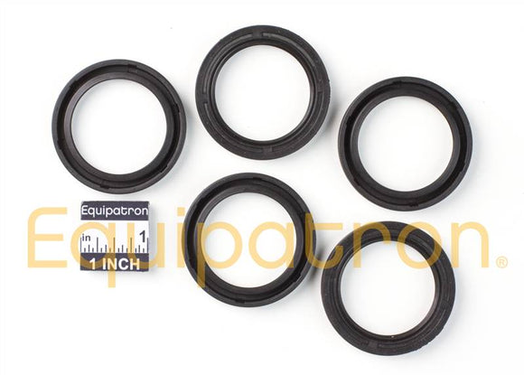 Briggs & Stratton 4115 Oil Seal Contains 5 x 291675S