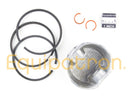 Briggs & Stratton 499960 Standard Piston Assembly, Replaces 499273, 393868-2