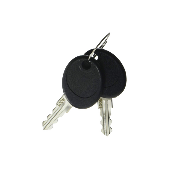 Briggs & Stratton 207652GS Key, Latch