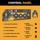 Firman H08052 Hybrid Series Dual-Fuel Generator, 8000/7250W (Gas/LP)-1