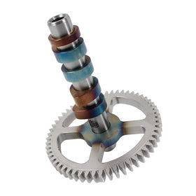 Kohler 32 010 07-S Camshaft Assembly