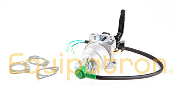 Briggs & Stratton 799773 Carburetor
