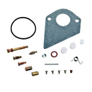 Briggs & Stratton 498116 Carburetor Overhaul Kit-1