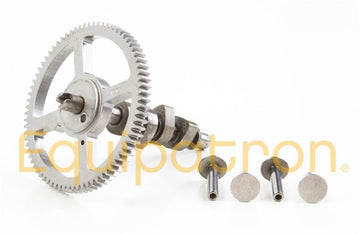 Briggs & Stratton 790562 Camshaft, Replaces 699748