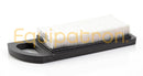 Briggs & Stratton 790263 Air Cleaner Cartridge-1