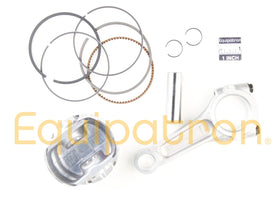 Briggs & Stratton 844009 Piston / Rod Assembly, Replaces 808527, 808646