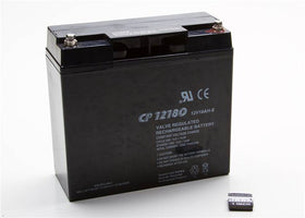 Briggs & Stratton 193043GS Battery