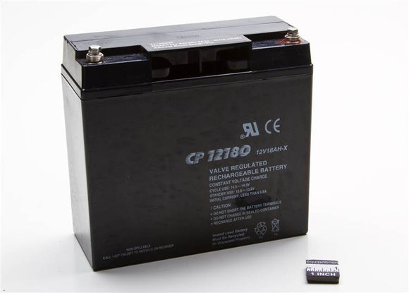 Briggs & Stratton 193043GS Battery