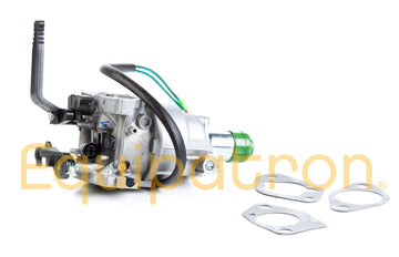 Briggs & Stratton 797758 Carburetor - 0