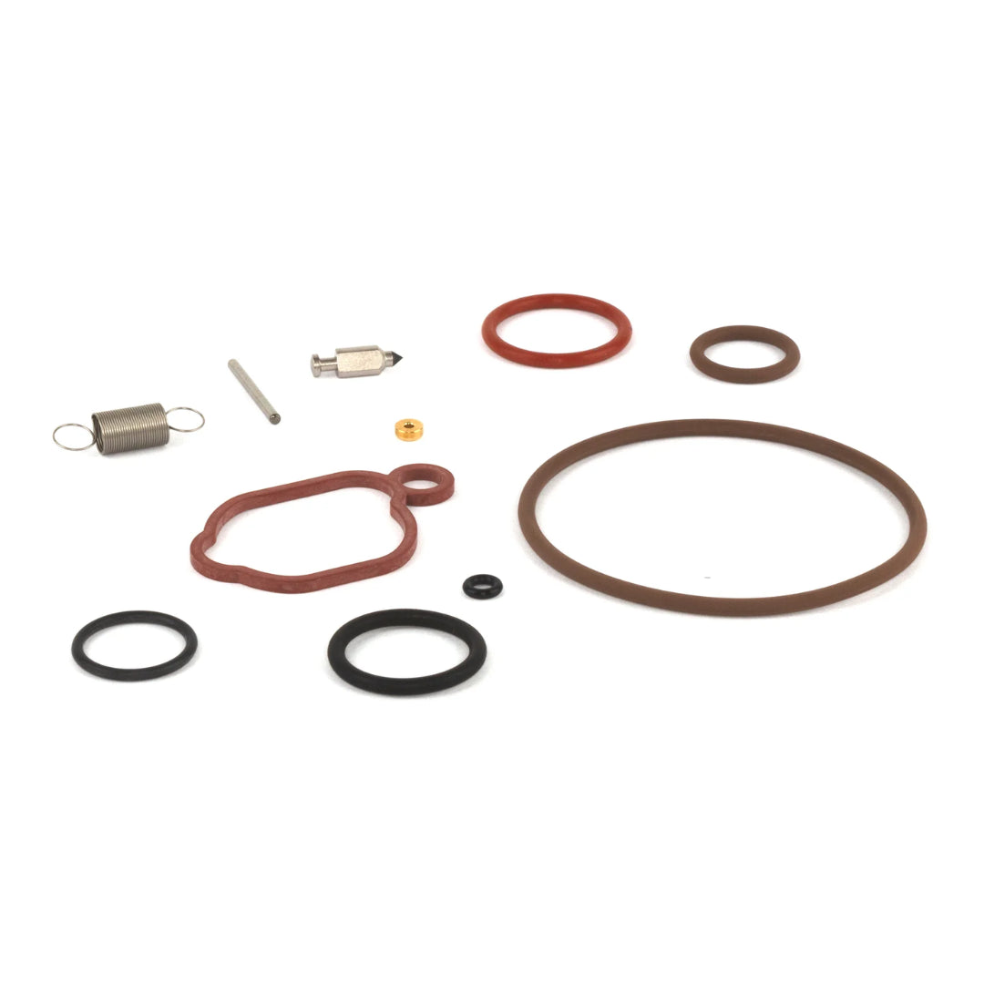 Briggs & Stratton 594636 Engine Carburetor Rebuild Kit