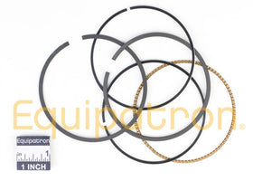 Briggs & Stratton 791787 Ring Set - 0