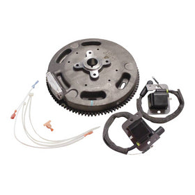 Kohler 24 755 308-S ASAM/MDI Conversion Kit (25HP)